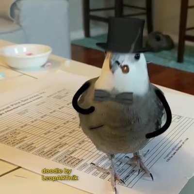 SirBirb