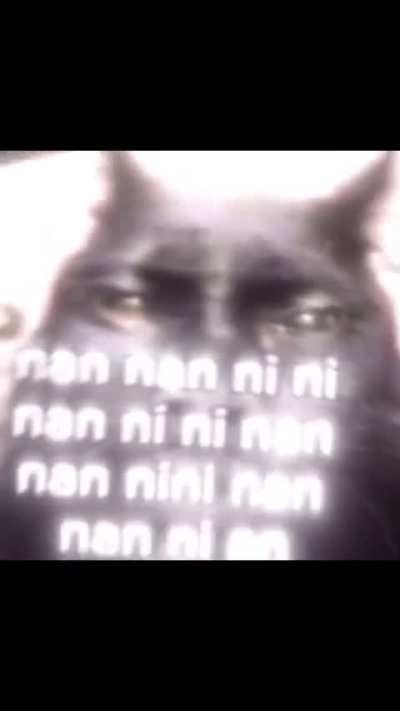 Everything in Its Right Place