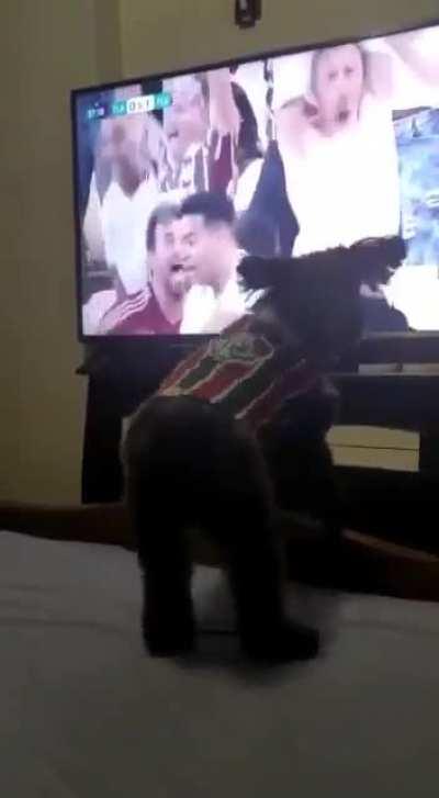 A dog who support Fluminense very happy with the 2-0 against Flamengo