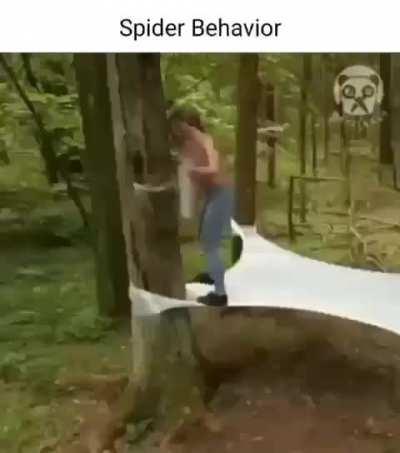 she thinks she's her