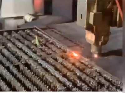 Mantis vs Metal Cutter