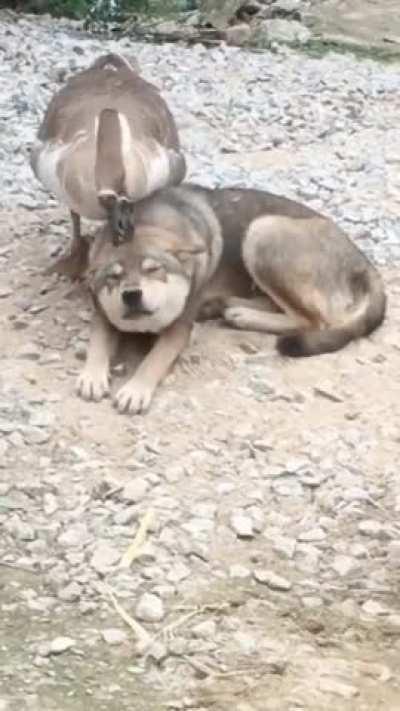 Ooh yeaah that's the spot!