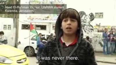 What is the role of UN-funded education in the radicalization of Palestinian youths?
