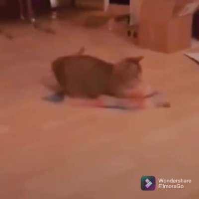 Oh, you laid a carpet