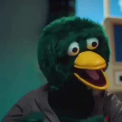 warren gets dunked on