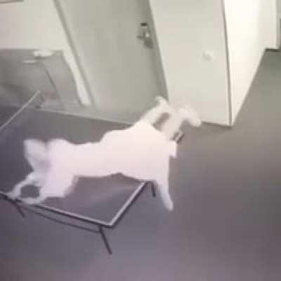 Ещё одна великолепная концовка.