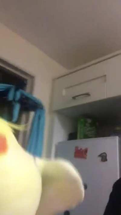 Fighter-jet here to save you all