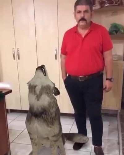 Benim oyumla dağdaki k*rdun oyu bir mi?