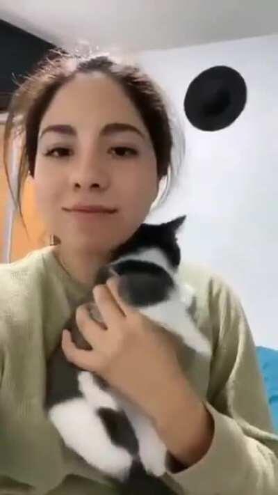 Cat can't handle filter.