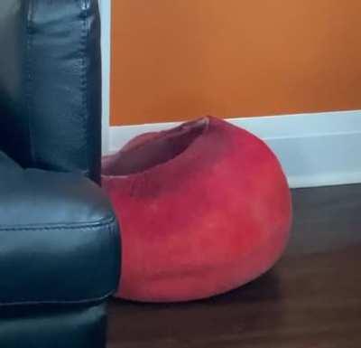 No one really knows what happens in the dimension. But on the event horizon we get a small peek!