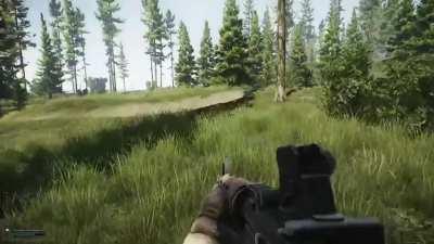 I tripped on a stick in tarkov