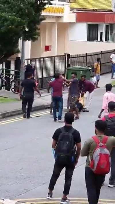 Men brawling on road at Geylang Lorong 8, 4 arrested for disorderly behaviour