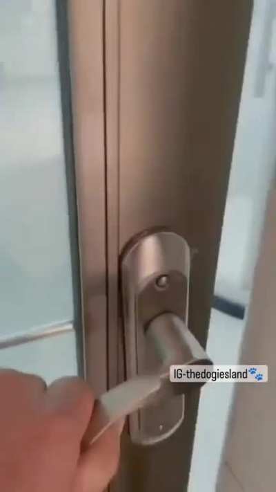 Hey, you human, it’s not your turn, it’s mine.