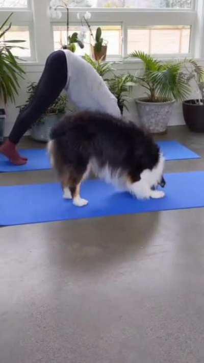 Doing regular yoga exercises...