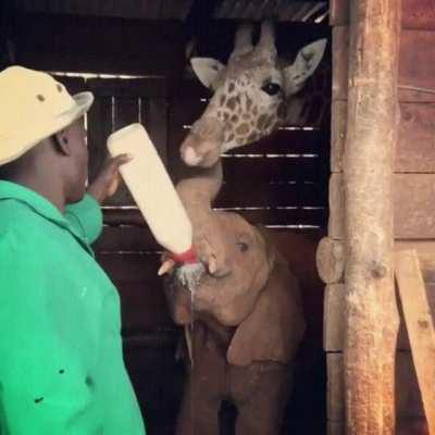 Das sieht aber lecker aus, darf ich mal?