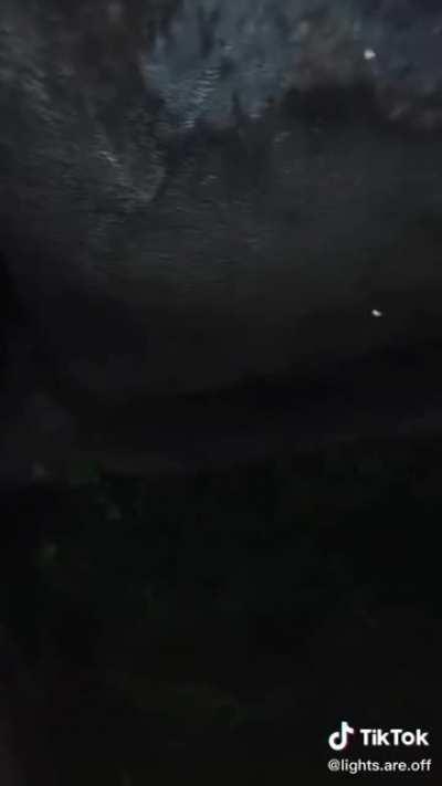 Thanks, I hate these hyper realistic CGIs