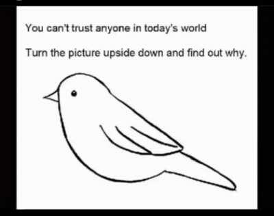 How to turn a bird into a dinosaur 101