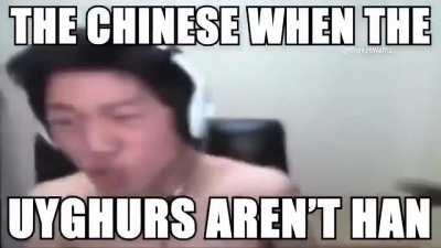 LA RESPUESTA DEFINITIVA