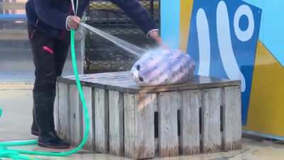 Depression ko cure karo ye dekho