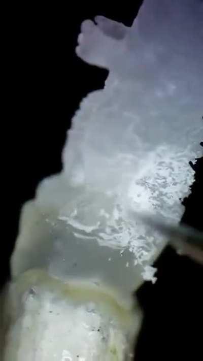 Russian jeweler carves Godzilla from a single grain of rice