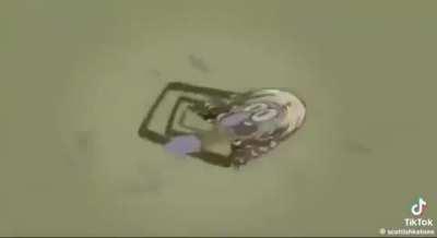 Aw hell naw skinwarp got send to the tv wirlp