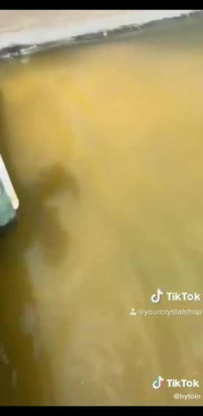 I hate how calm she sounds