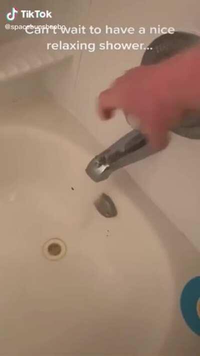 Not mine, but just came across this bad boy