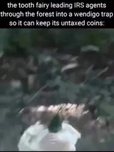 whimsical forest fairies