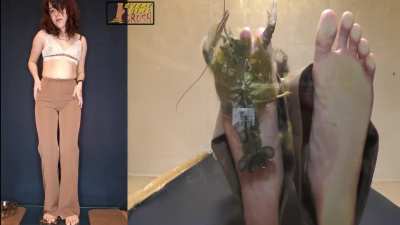 Goddess Claire❤❤❤❤❤