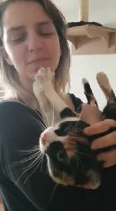 My boss came back from a two-week vacation and was greeted like this