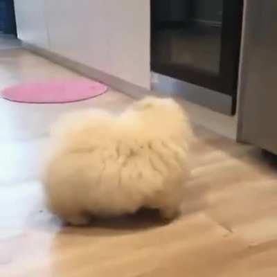 This fluffy potato checking the oven