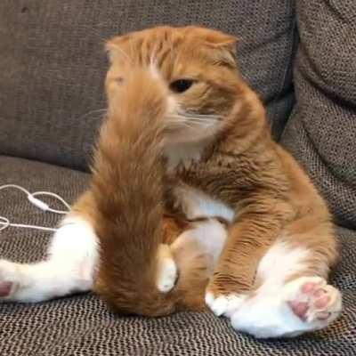 Thought this belonged here