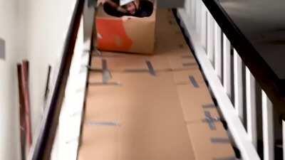 [r/ohdamn] Rolling into the shadow realm