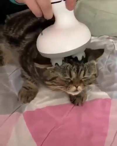 BasTaRD fUCkiNg SucKs cAt's BRAiN oUT wItH sICK alIeN TeCHnoLOgy