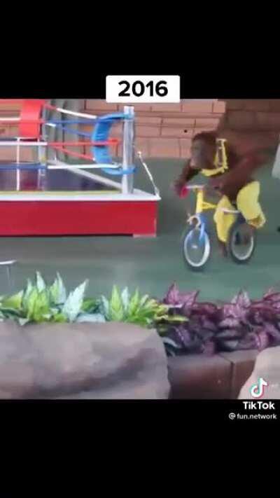 Famosos antes y después