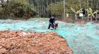 K-9 Units are some of the best trained dogs in the world.