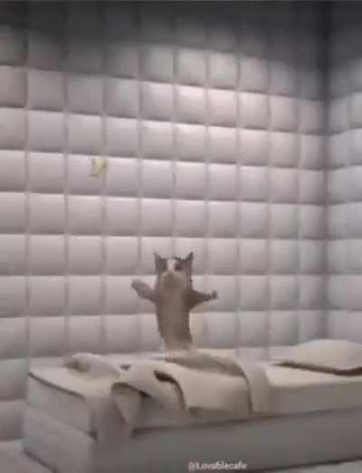 I'm so pathetic someone pls fall in love w me already