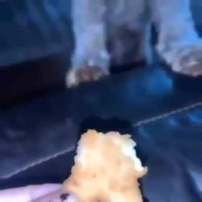 It's really just abrupt chaos