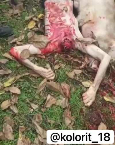 Azerbaijanis cut off the head of an Armenian