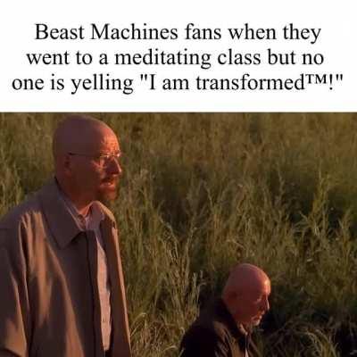 Transformers fans slander