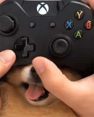 Rare footage of top 1% hacker using a banned contoller.