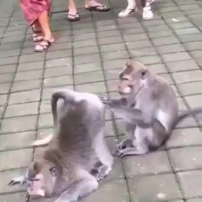 the top with OCD just checking up on my hygiene before the date