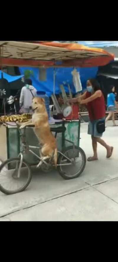 Let me drive Boss, just push!