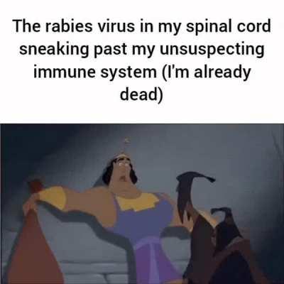 I didn't even realise I was bitten.