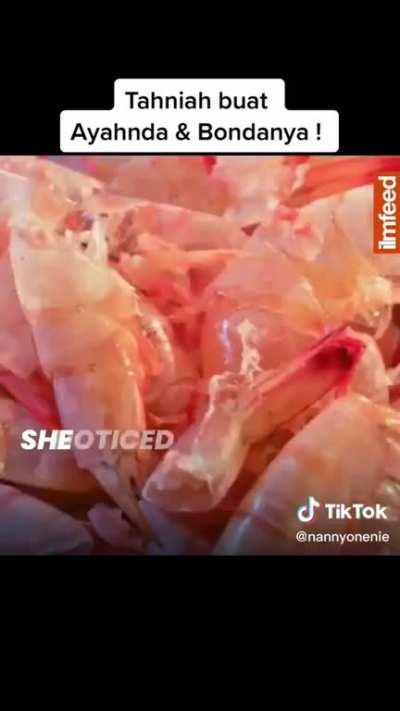 11yo Malaysian Girl won International Inventor's award