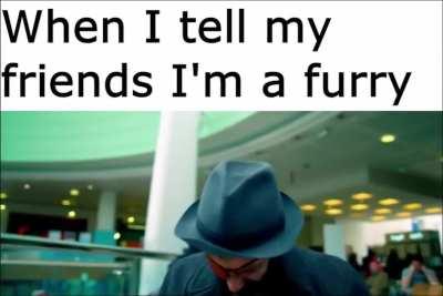 Furry_irl