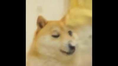 doge when he (full version)