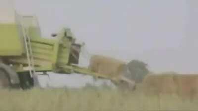 Ok,Which one of you was this?