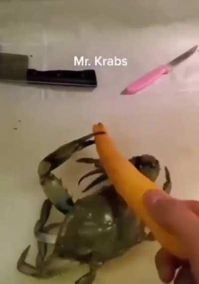 oh no mr crups😭🦀🦀🦀🦀🦀😋