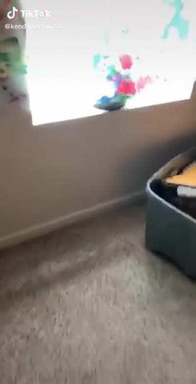 Just chillin in a window